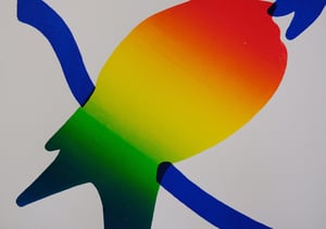 Image of Rainbow Parrot