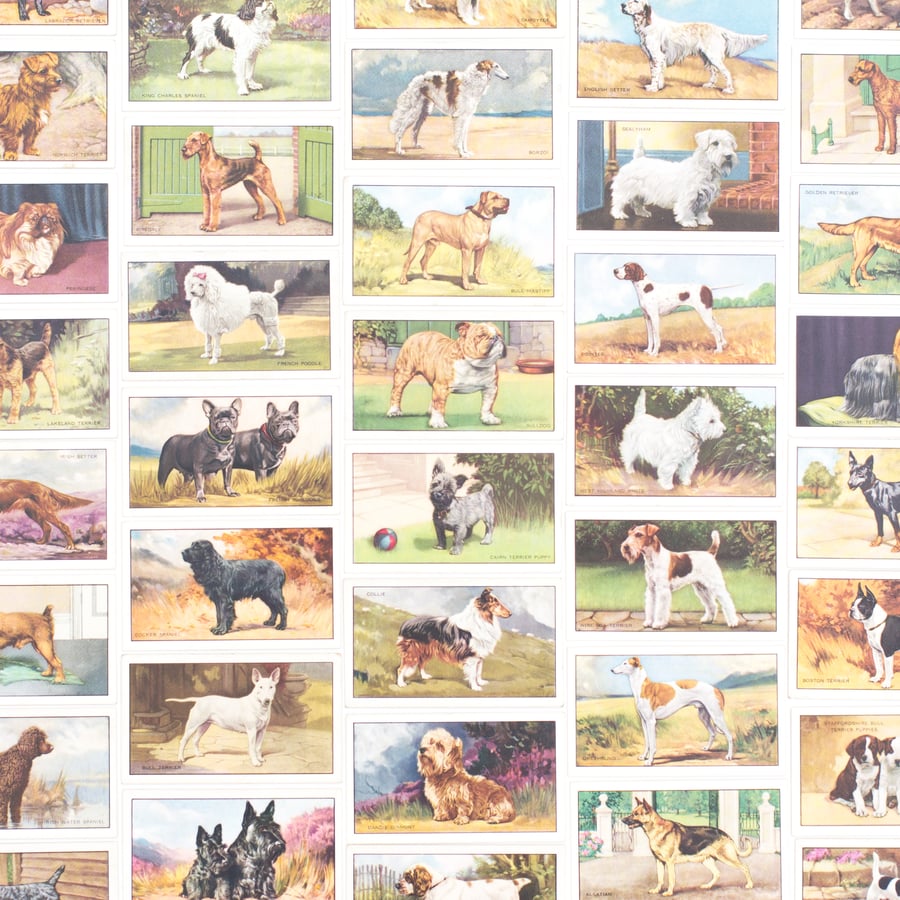 Image of Dogs Cigarette Cards - Set of 8 or Complete Set