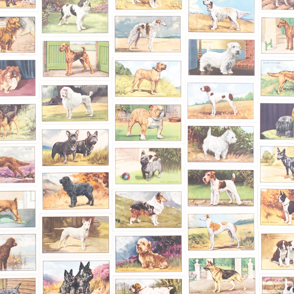 Image of Dogs Cigarette Cards - Set of 8 or Complete Set