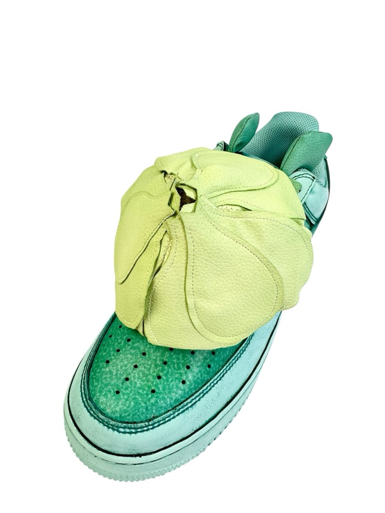 Image of Air Force 1 Bulbasaur