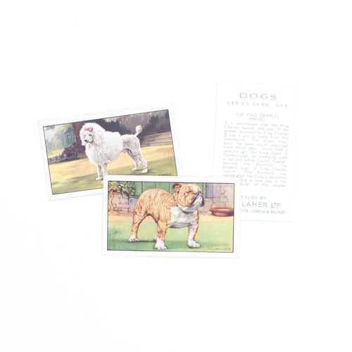 Image of Dogs Cigarette Cards - Set of 8 or Complete Set