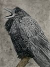 Raven III (Original)