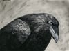 Raven I ( Print)
