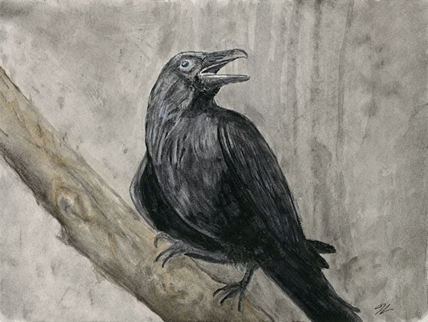 Raven II (Print)