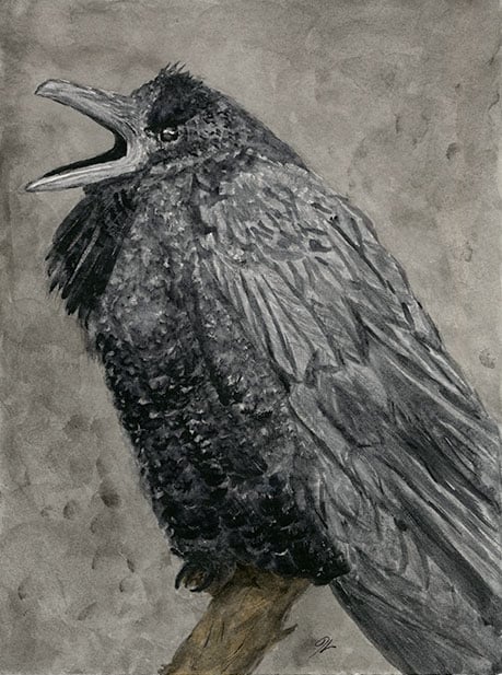 Raven III (Print)