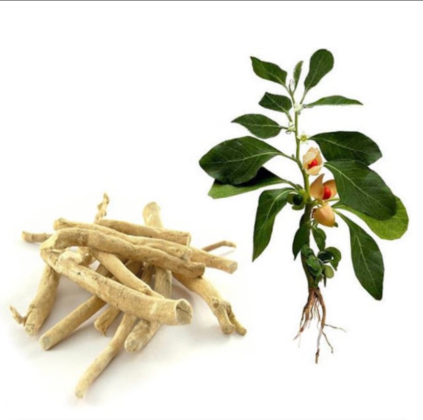 Image of Ashwagandha Capsules (Organic)