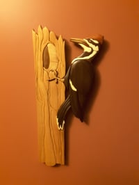 Image 1 of Woodpecker