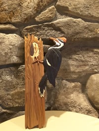 Image 4 of Woodpecker