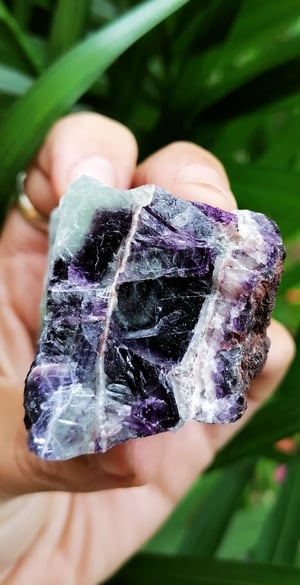 Image of Fluorite rough specimen