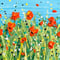 Image of Wiltshire Poppies 