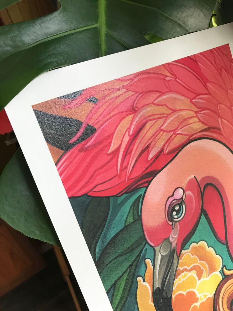 Image of Pink Plumes