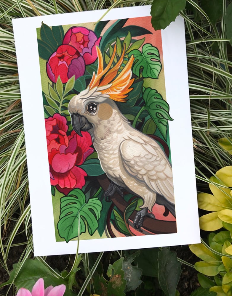 Image of Cockatoo Sunset