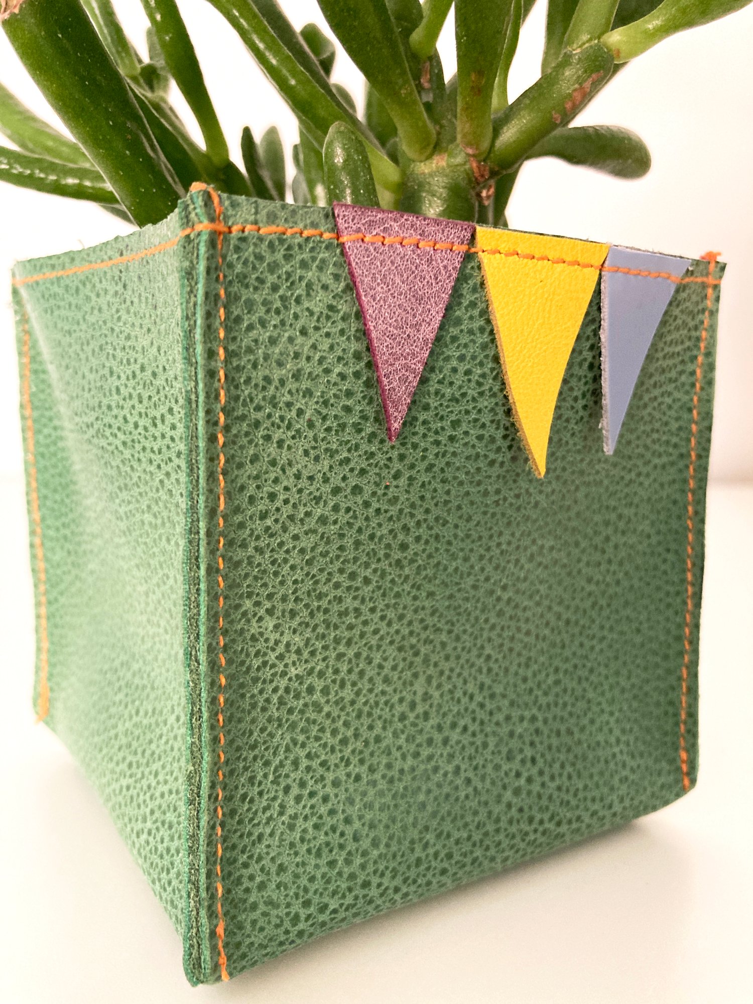 Image of Green Tri