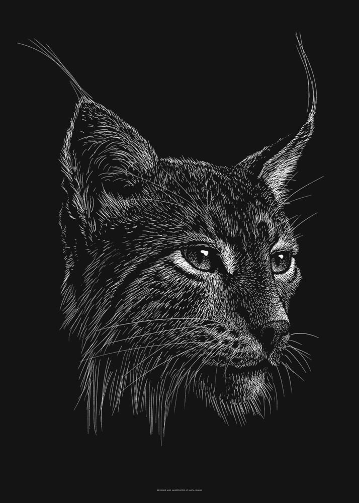 Image of »Luchs« Screen Print