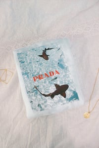 Prada Shark