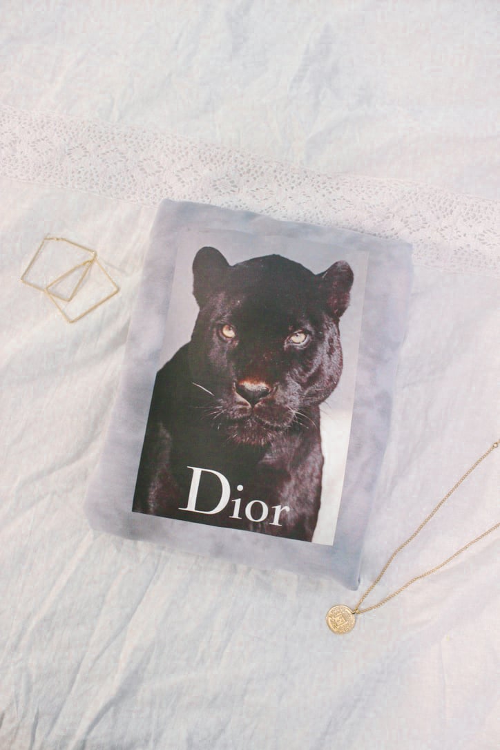 Dior Panther