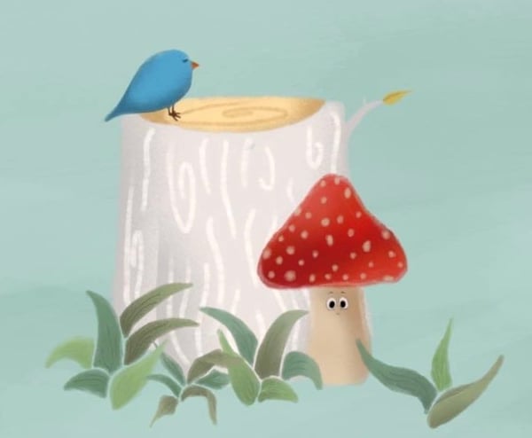Image of Toadstool book