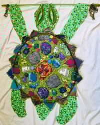 Image 1 of Turtle Time