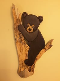 Bear Cub Up a Tree