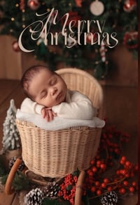 Image 2 of Winter sled 