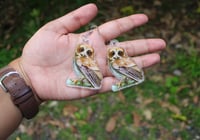 Image 4 of Mucarito Owl Earrings | Puerto Rican Owl