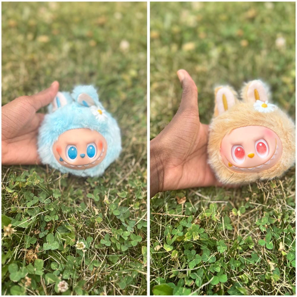 Image of Lafufu Heads (Chinese Version) 