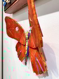Image 3 of Ruby Slipper Moth- Jil Johnson