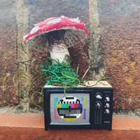 Miniature test pattern television - fungi sculpture 