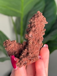 Image 2 of RED IRON OXIDE/HEMATITE QUARTZ -MOROCCO- E