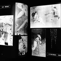Image 10 of Yaso spécial Noctural Visit 