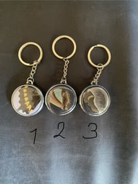 Image 3 of Real butterfly wing keychains