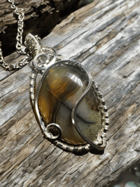 Image 1 of Montana Moss Agate