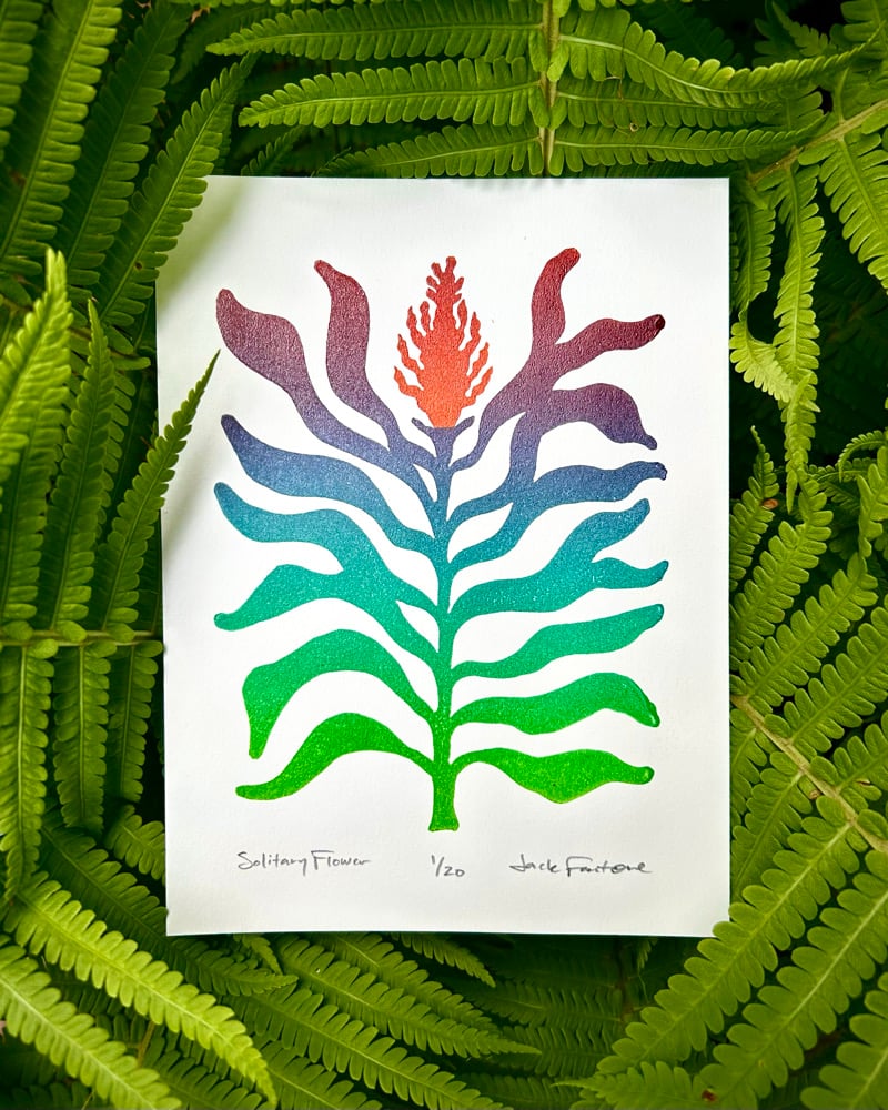 Image of Solitary Flower print 