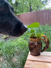 Image 3 of Golden Pothos in 1840 Rockingham Harbor Pottery Hound Dog Ceramic Mug