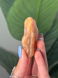 Image 1 of TUMBLED AGATE #2 -MALAWI-
