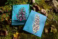 Image 1 of Pinecone Studies