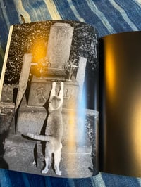 Image 6 of TOKYO WILD CATS, Hana Takeda, 1996.