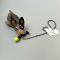 Image 1 of Australian Cattle Dog "Blue Heeler With Tennis Ball“