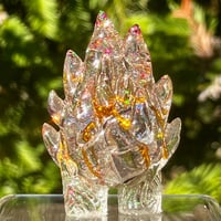 Image 2 of Present Bellies 2023