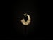 Image of Gold Designed Pierced Earrings 