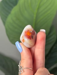 Image 2 of TUMBLED AGATE #47 -MALAWI-