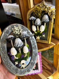 Image 1 of Inky cap frame led