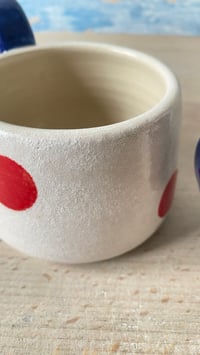 Image 3 of Polkadot duo.