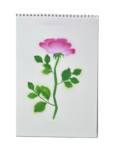 Image of Rose ‘Ulrich Brunner’ - 1 rose (10)