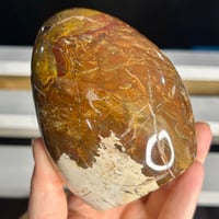 Image 4 of Petrified Wood Freeform (34A)