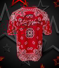 Image 3 of The Bandanna Collection 