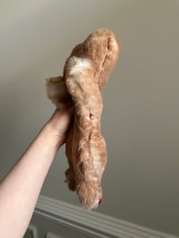 Image 3 of Floofy Mouse Red Tail
