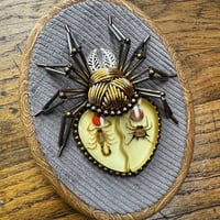 Image 1 of Specimen spider (d,  4x5 inches)