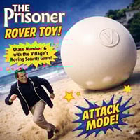  The prisoner roving security guard