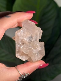 Image 4 of BOWTIE STILBITE X DIAMOND APOPHYLITE -INDIA- J